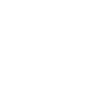 Dabruno logo